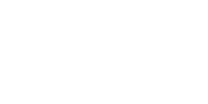 a3