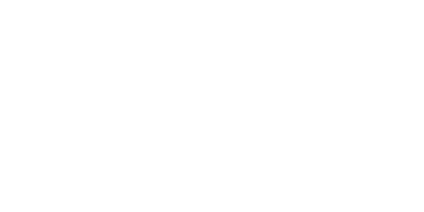 Yetkili Teknik Servisi