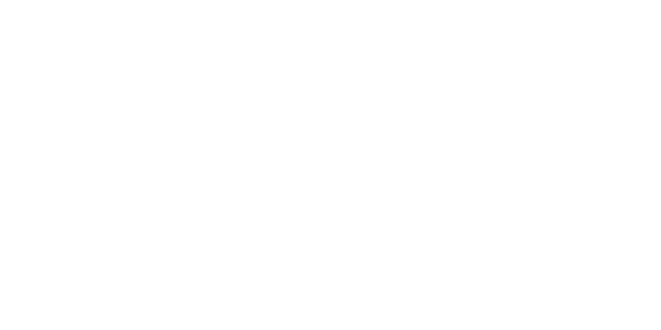 Yetkili Teknik Servisi